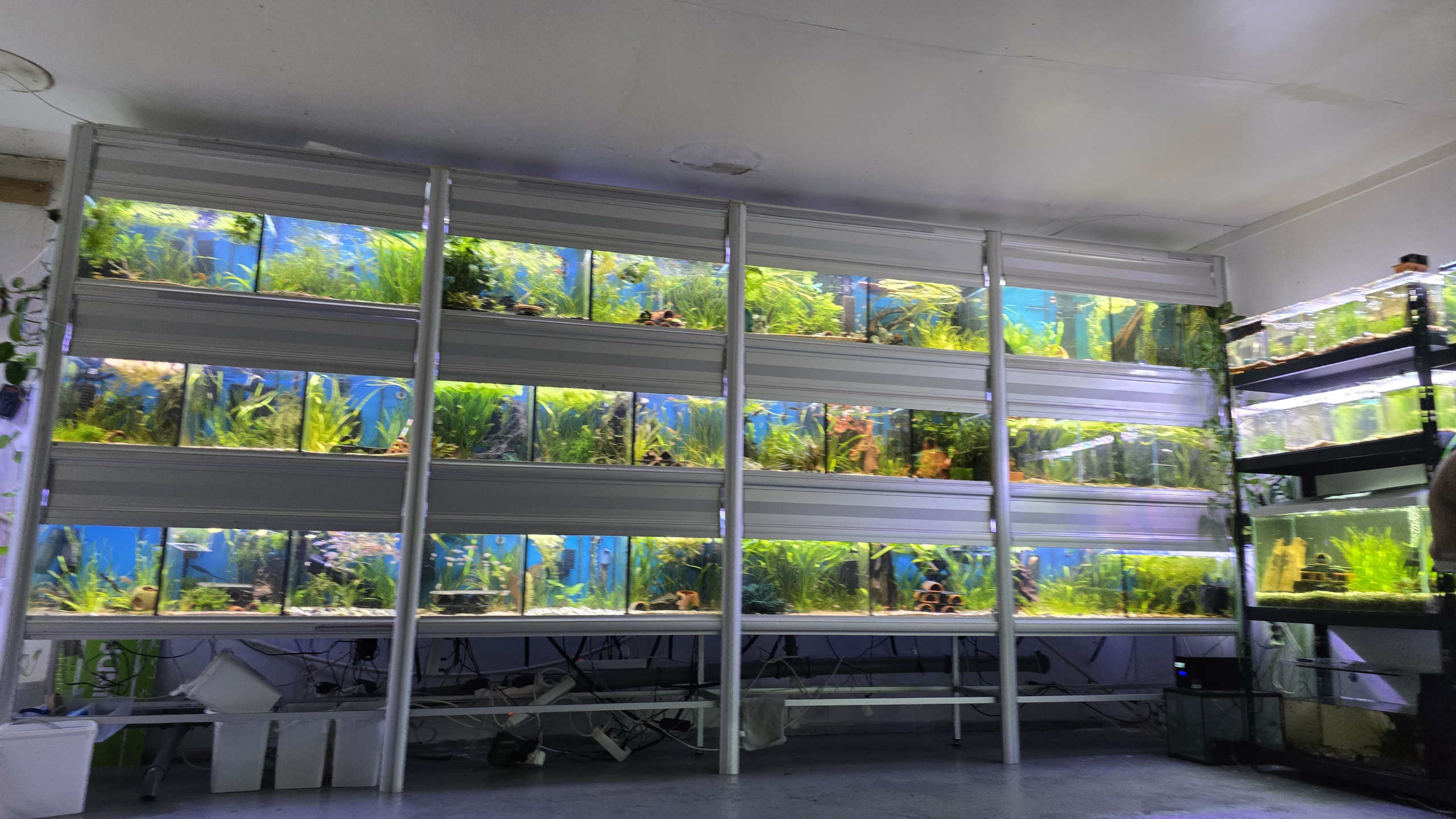AkvarieGaraget anläggning