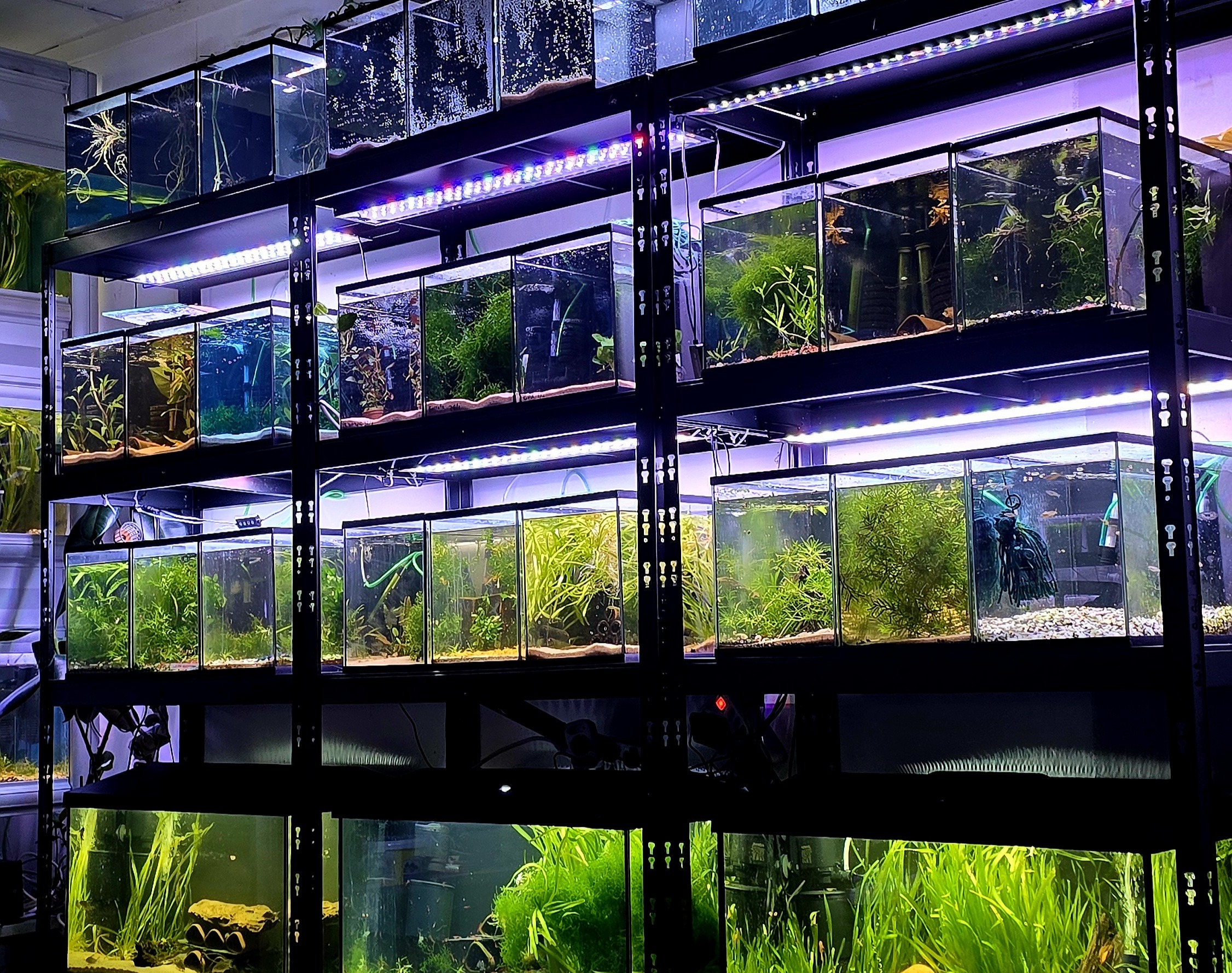 AkvarieGaraget anläggning