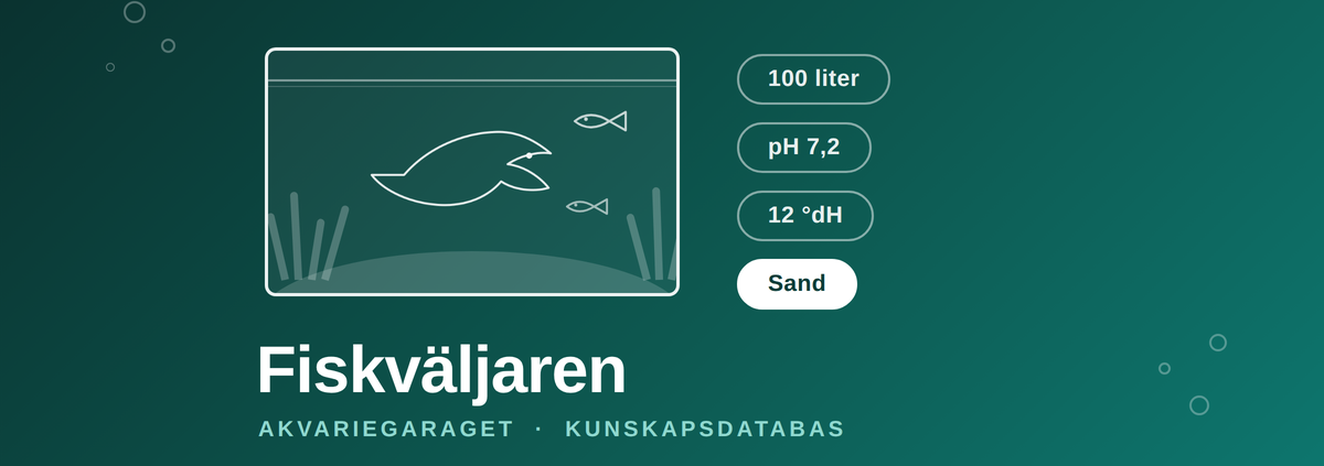 Fiskväljaren – fyll i akvariets volym, pH, hårdhet och bottenmaterial så matchar vi mot AkvarieGaragets artlista