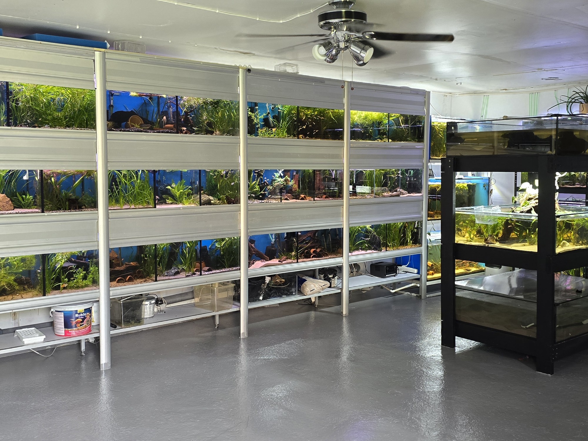 Odlingsrummet hos AkvarieGaraget