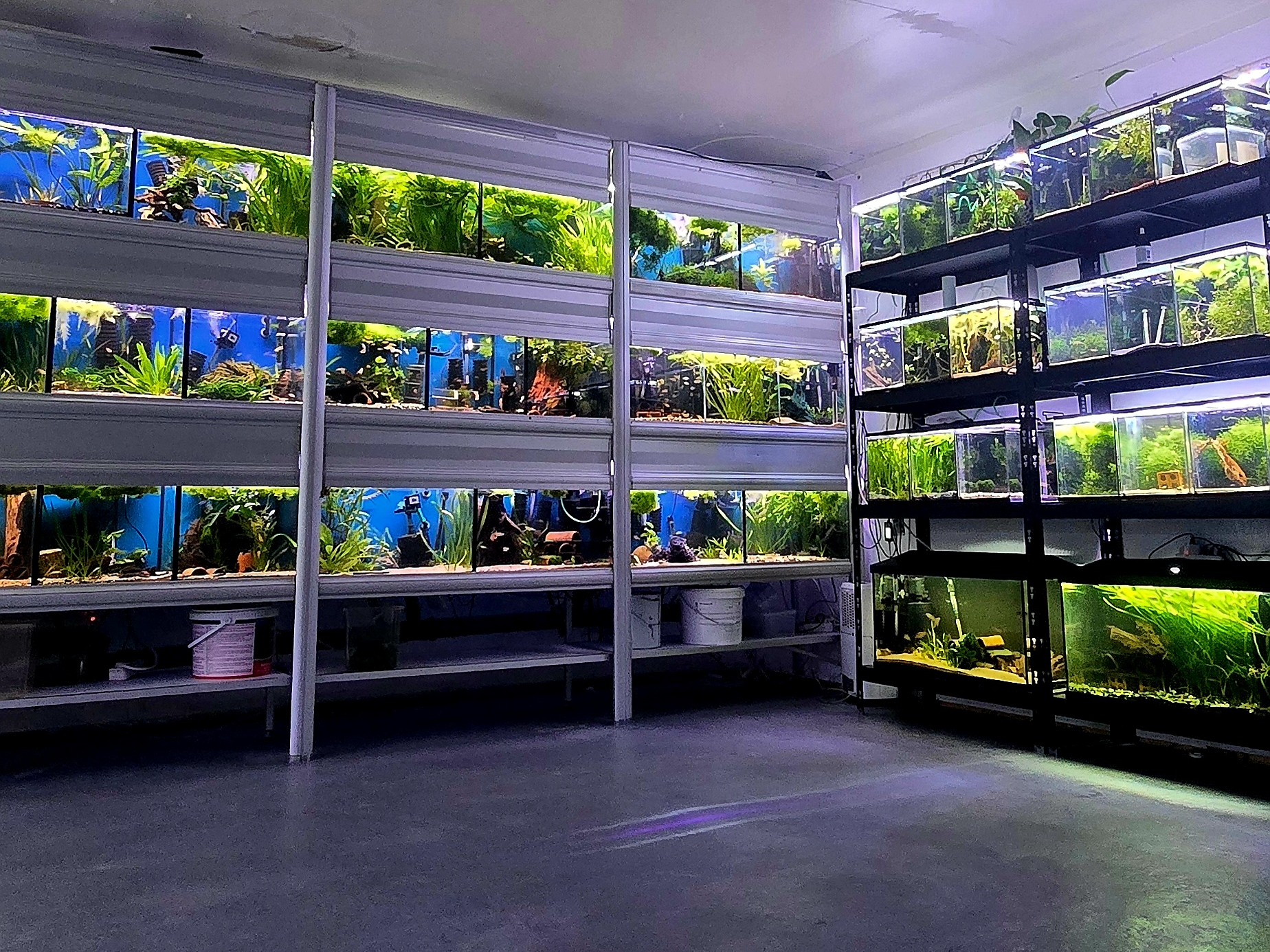 Akvariehyllor med odlingskar