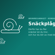 Snäckplåga i akvariet