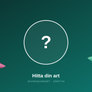 Frågetecken omgivet av fiskar och en räka