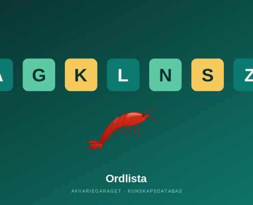 Bokstäver och en räka