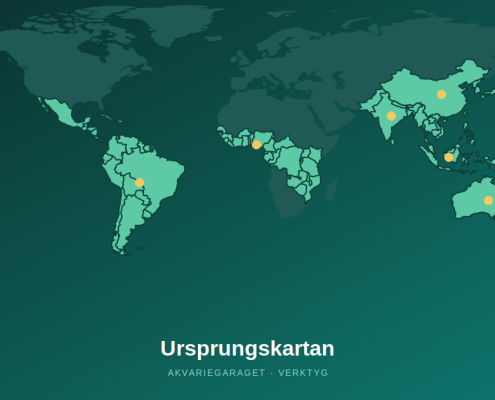 Stiliserad världskarta med markerade ursprungsregioner