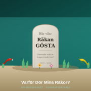 Räkan Göstas gravplats med sörjande räkvänner
